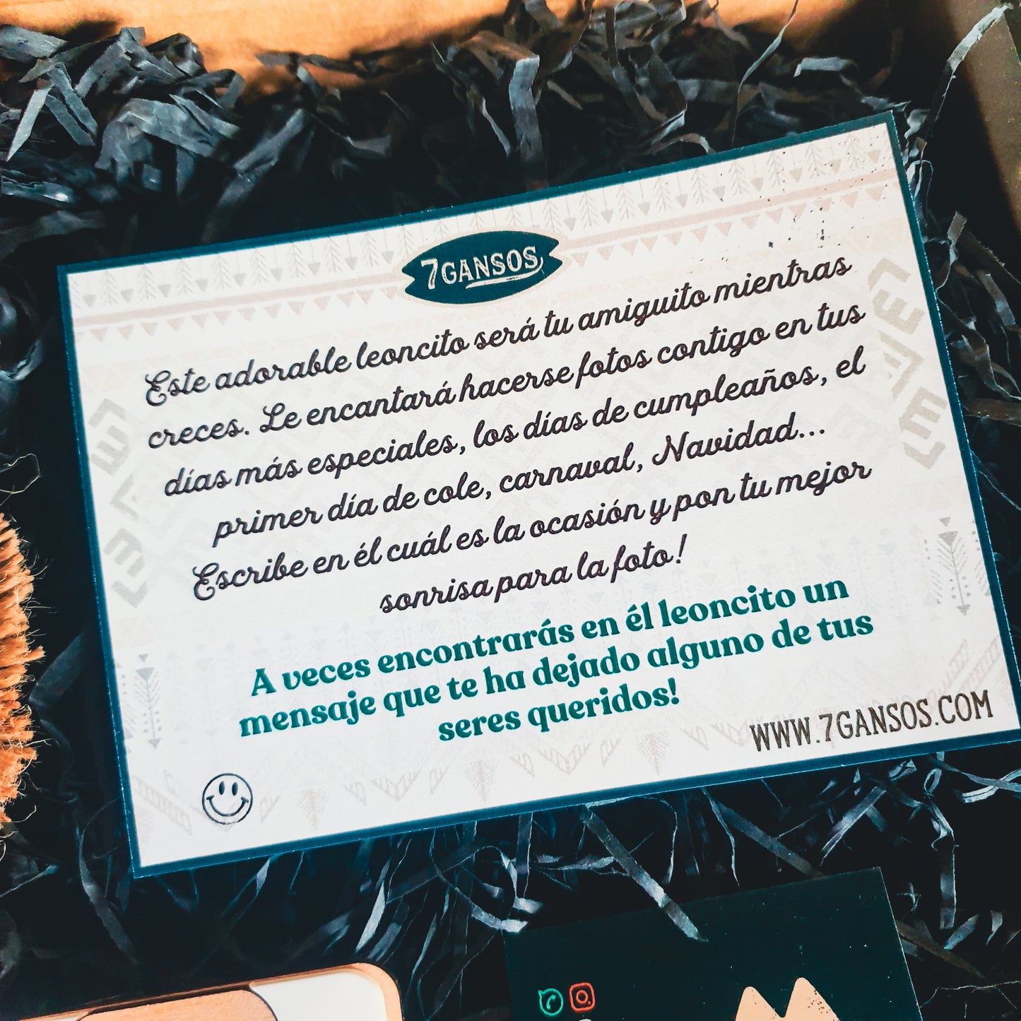 Placa nacimientos leoncillo
