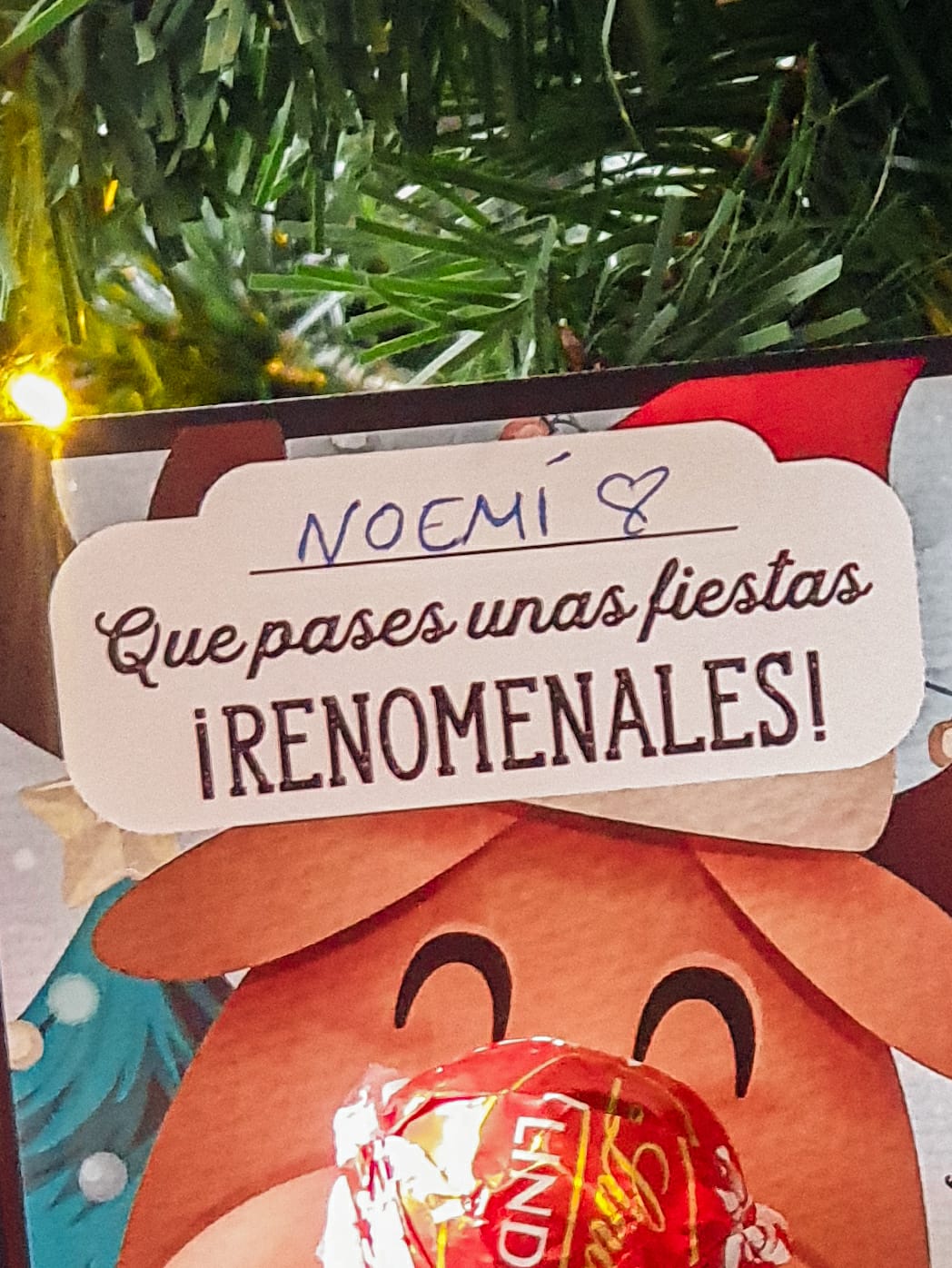 PACK CHRISTIMAS RENO BOMBÓN